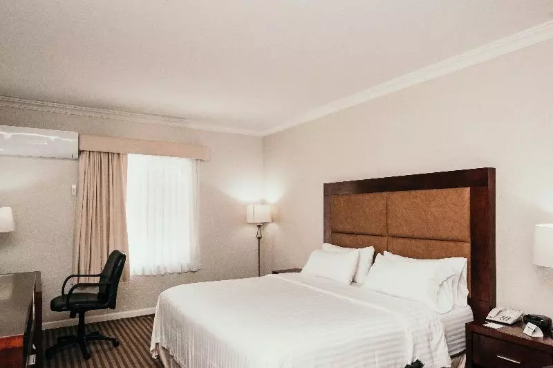 اتاق استاندارد با تخت بزرگ, Holiday Inn Durango, An Ihg