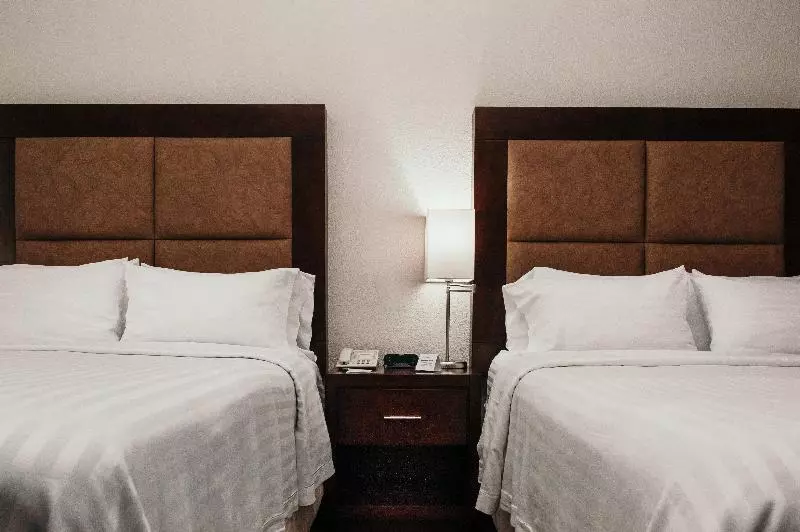 اتاق استاندارد با تخت بزرگ, Holiday Inn Durango, An Ihg