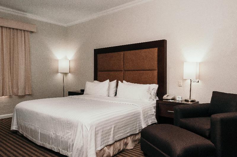 Chambre Standard Lit King Size, Holiday Inn Durango, An Ihg