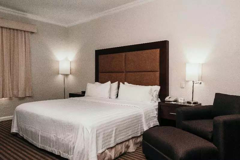 اتاق استاندارد با تخت بزرگ, Holiday Inn Durango, An Ihg