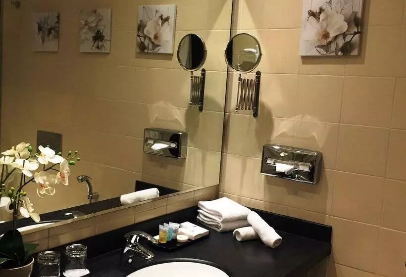 １ベッドルームアパートメント, Ibis Kuwait Salmiya