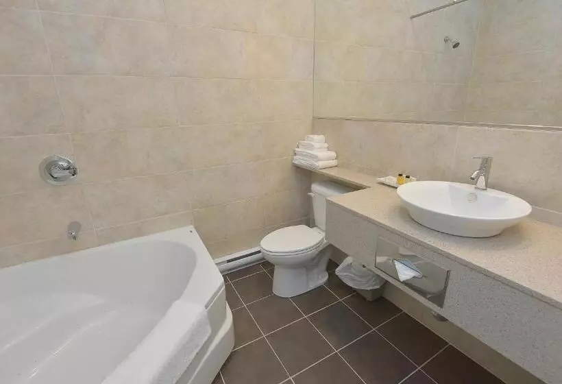 اتاق سوپریور با تخت بزرگ, Hôtel Et Pavillons Le Petit Manoir Du Casino