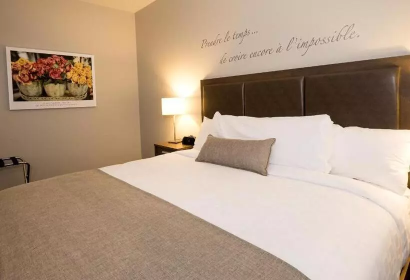 اتاق سوپریور با تخت بزرگ, Hôtel Et Pavillons Le Petit Manoir Du Casino