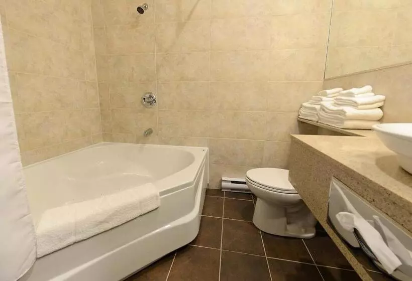 اتاق سوپریور با تخت دو نفره بزرگ, Hôtel Et Pavillons Le Petit Manoir Du Casino