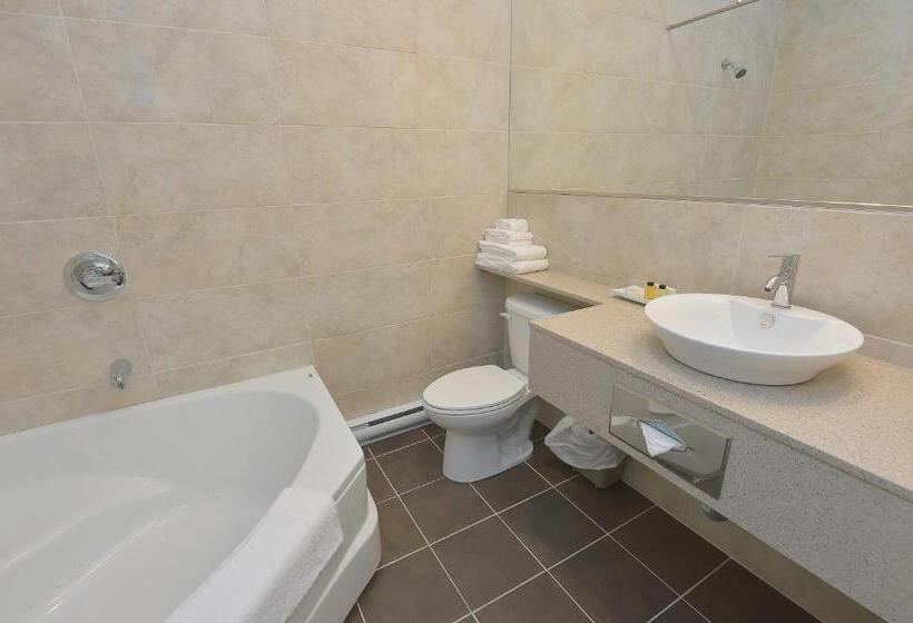 Номер Стандартный с Видом, Hôtel Et Pavillons Le Petit Manoir Du Casino