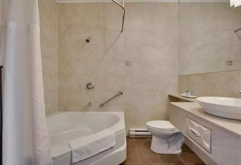 اتاق استاندارد اینتریور, Hôtel Et Pavillons Le Petit Manoir Du Casino
