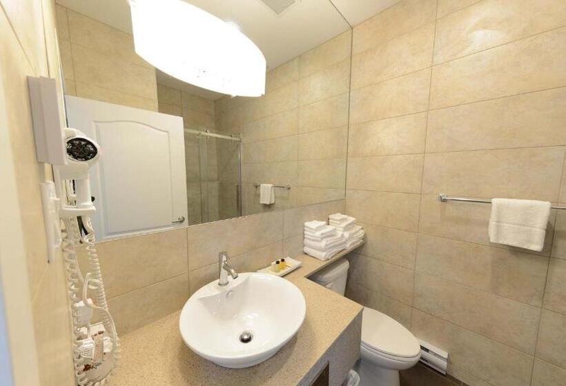 غرفة إقتصادية, Hôtel Et Pavillons Le Petit Manoir Du Casino