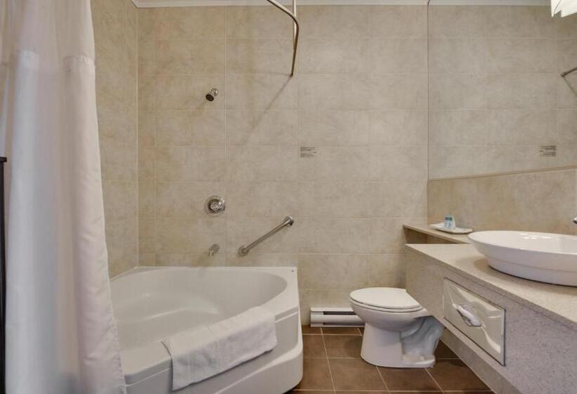 Люкс Вид на Реку, Hôtel Et Pavillons Le Petit Manoir Du Casino