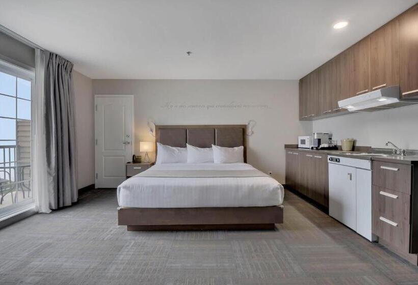 جناح مطل على البحر, Hôtel Et Pavillons Le Petit Manoir Du Casino