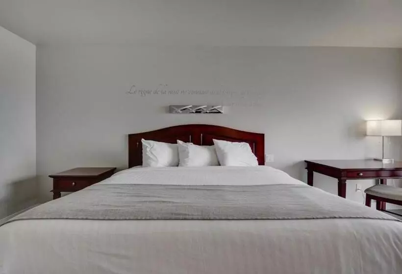 اتاق سوپریور با تخت بزرگ, Hôtel Et Pavillons Le Petit Manoir Du Casino