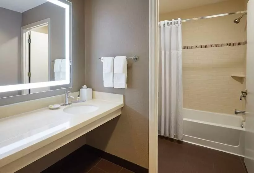 Sviitti King-vuode, Staybridge Suites Orlando South, An Ihg