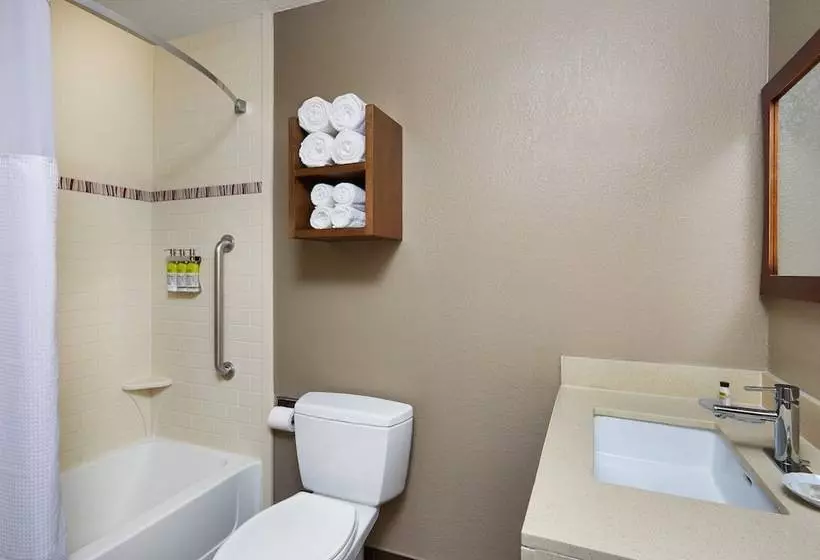 Sviitti 2 Makuuhuonetta, Staybridge Suites Orlando South, An Ihg