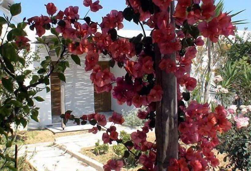 بنجلو سوبيريور, Surfing Beach Village