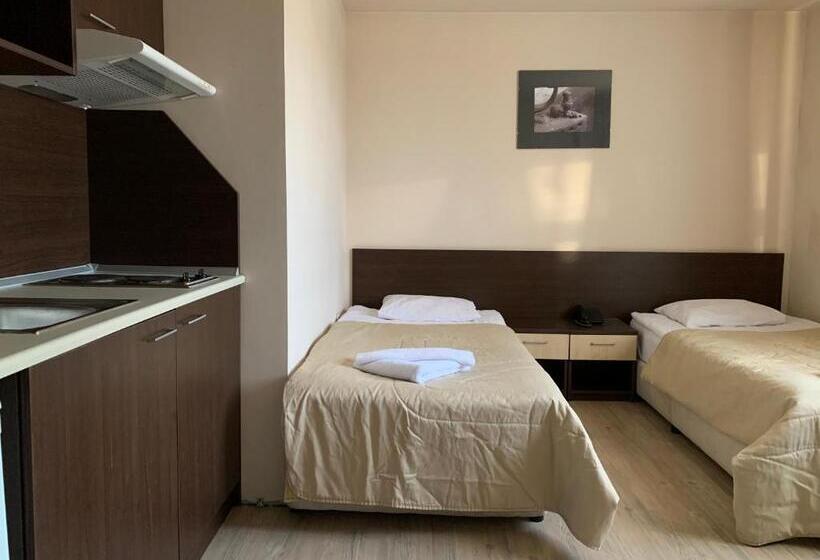 غرفة قياسية, Banderitsa Apartments With Kitchen & Bbq