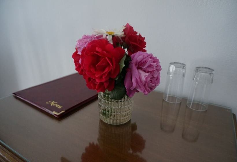 Номер Стандарт Вид на Море, Adonis Hotel Naxos