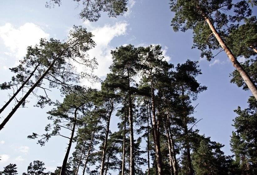 اتاق استاندارد سه نفره, Baltvilla