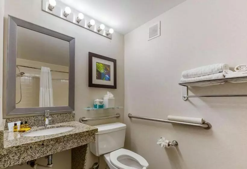 Sviitti Liikuntarajoitteisille, Best Western Plus Cary   Nc State