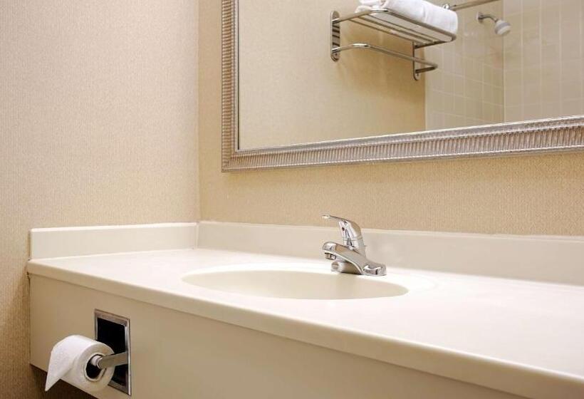 اتاق استاندارد با تخت بزرگ, Best Western Plus Cary Nc State