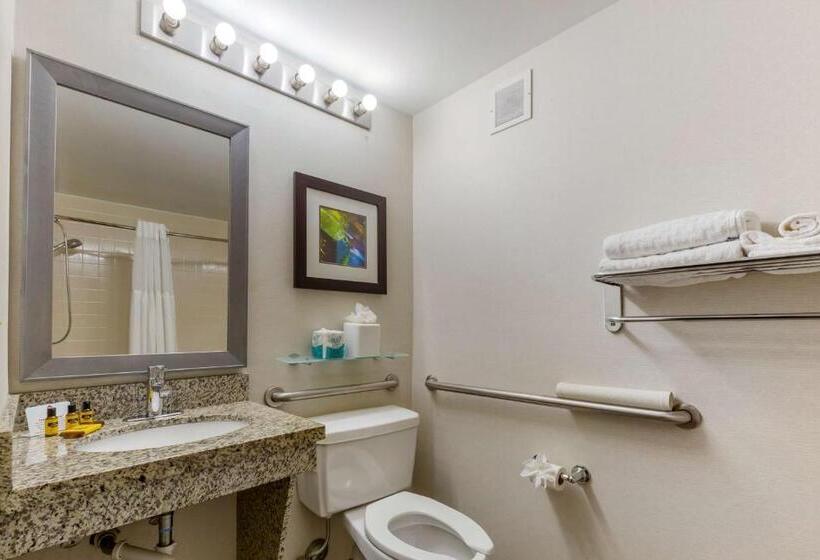 Стандартный Номер Кровать Кинг, Best Western Plus Cary   Nc State