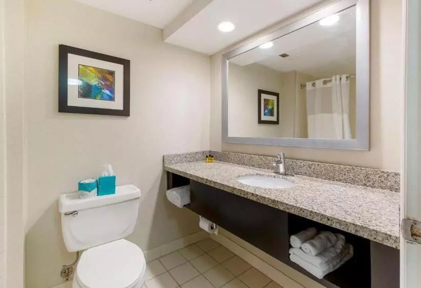 Standard-huone 2 Parivuodetta, Best Western Plus Cary   Nc State