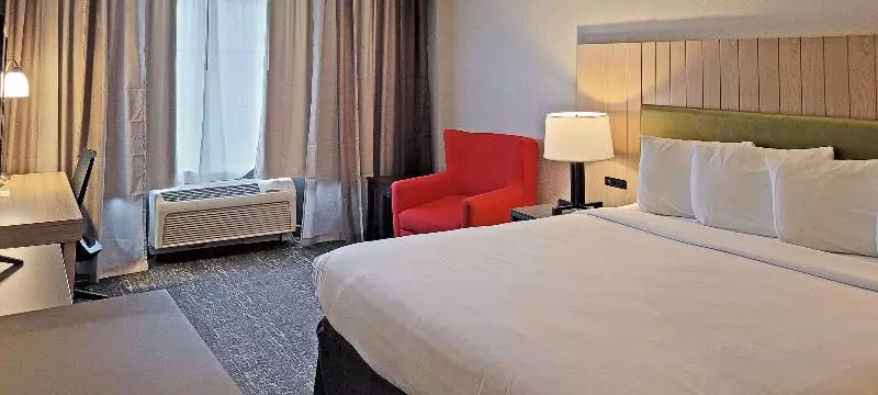 キングサイズベッドのスタンダードルーム, Country Inn & Suites By Radisson, Canton, Ga