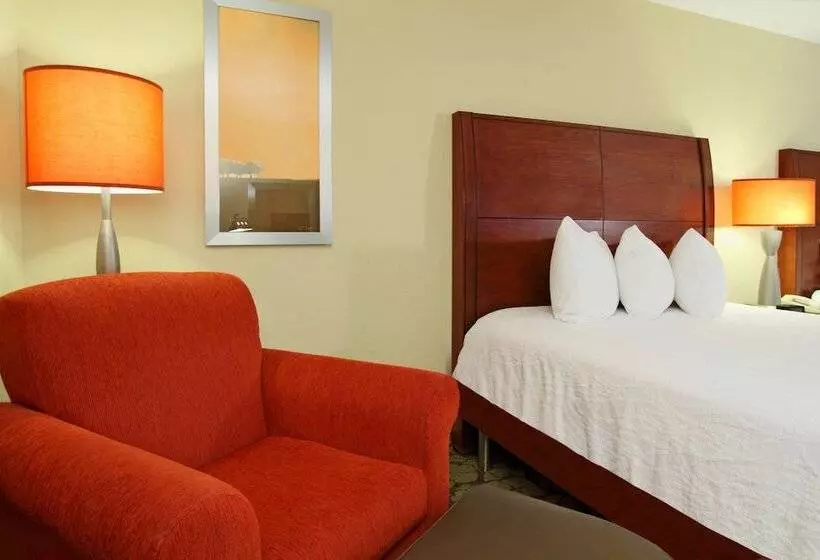 身障者適用スタンダードルーム, Hilton Garden Inn Columbus Airport