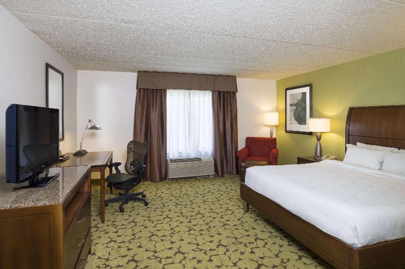 스탠다드 룸 킹사이즈 침대, Hilton Garden Inn Edison/raritan Center