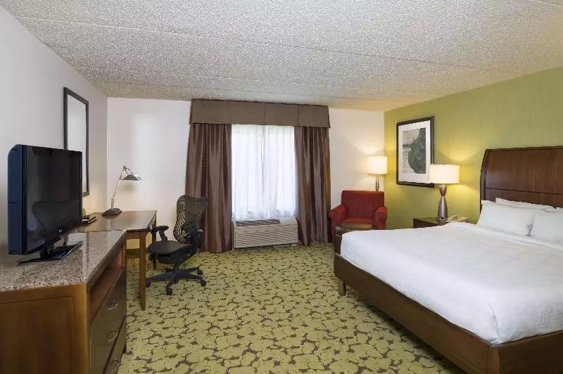 キングサイズベッドのスタンダードルーム, Hilton Garden Inn Edison/raritan Center