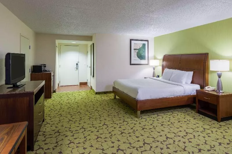 キングサイズベッドのスタンダードルーム, Hilton Garden Inn Edison/raritan Center