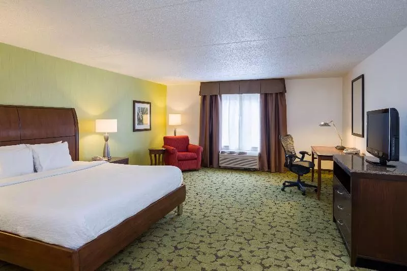 キングサイズベッドのスタンダードルーム, Hilton Garden Inn Edison/raritan Center