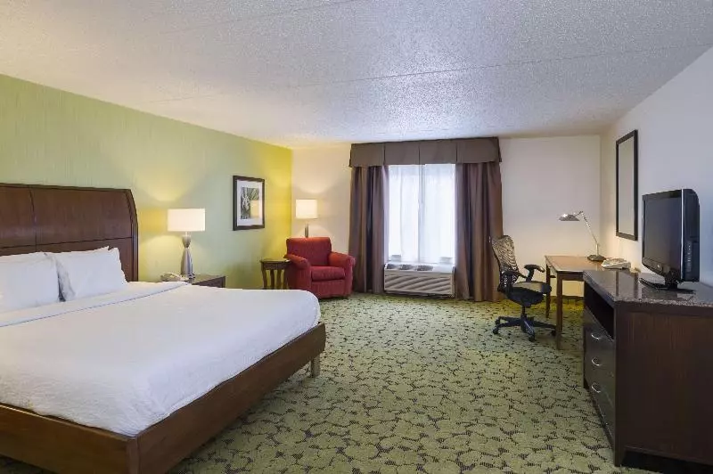 キングサイズベッドのスタンダードルーム, Hilton Garden Inn Edison/raritan Center