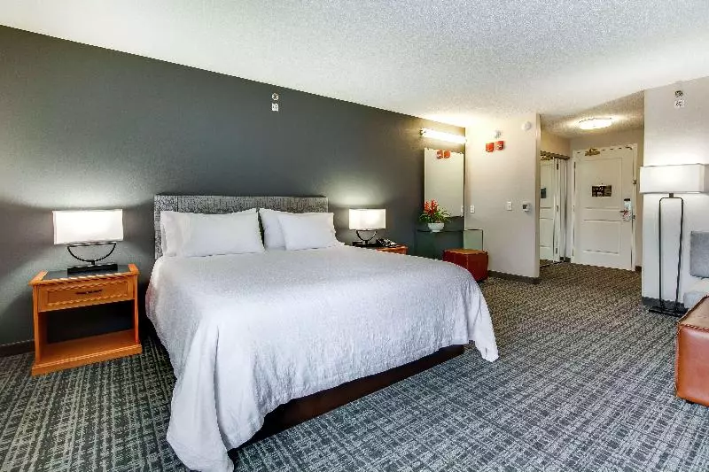 اتاق استاندارد با تخت بزرگ, Hilton Garden Inn Louisville Airport