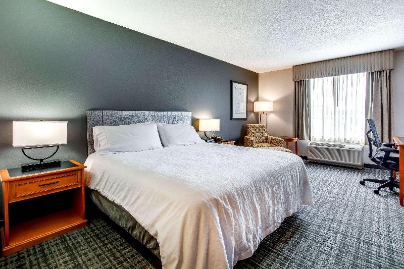 חדר סטנדרט עם מיטת קינג, Hilton Garden Inn Louisville Airport