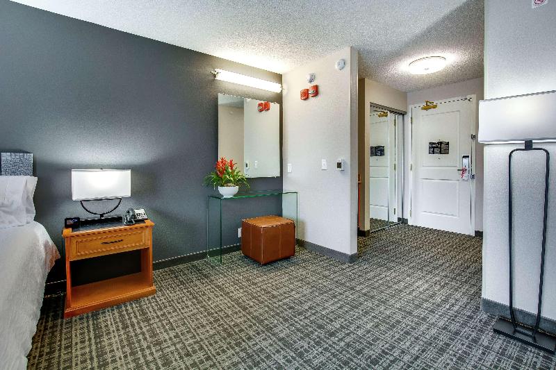 سوئیت با تخت بزرگ, Hilton Garden Inn Louisville Airport
