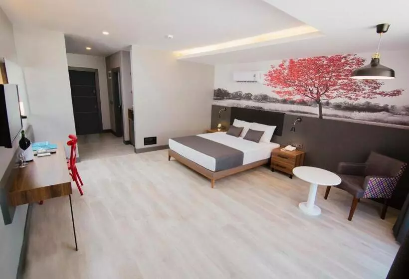 اتاق استاندارد, Ramira City Hotel   Adult Only