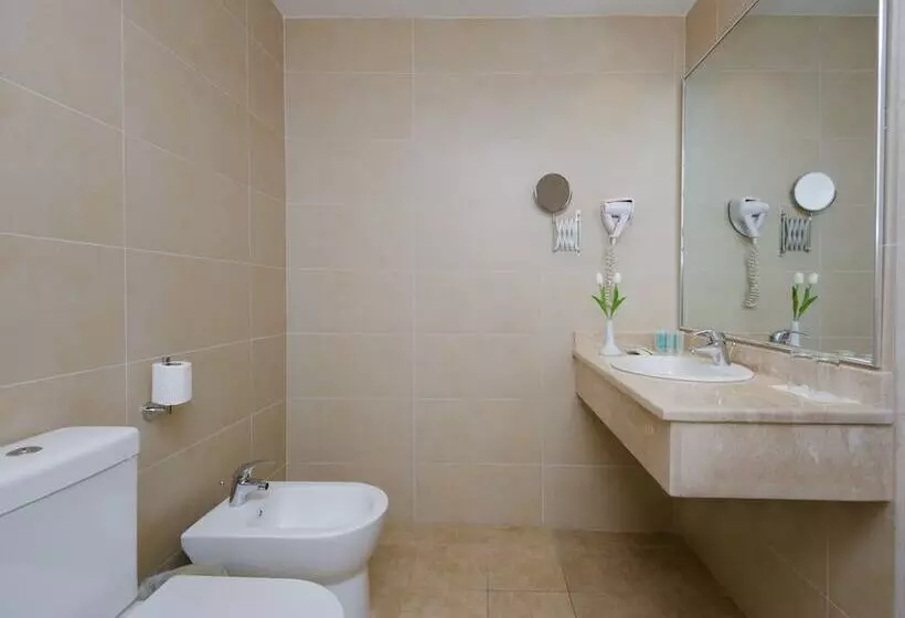 اتاق استاندارد, Toledo Amman