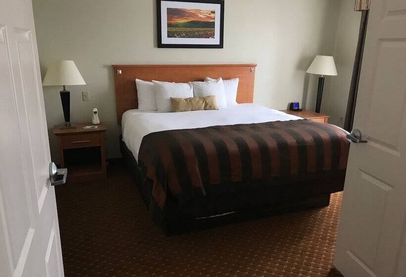 标准间, Wingate By Wyndham Louisville East