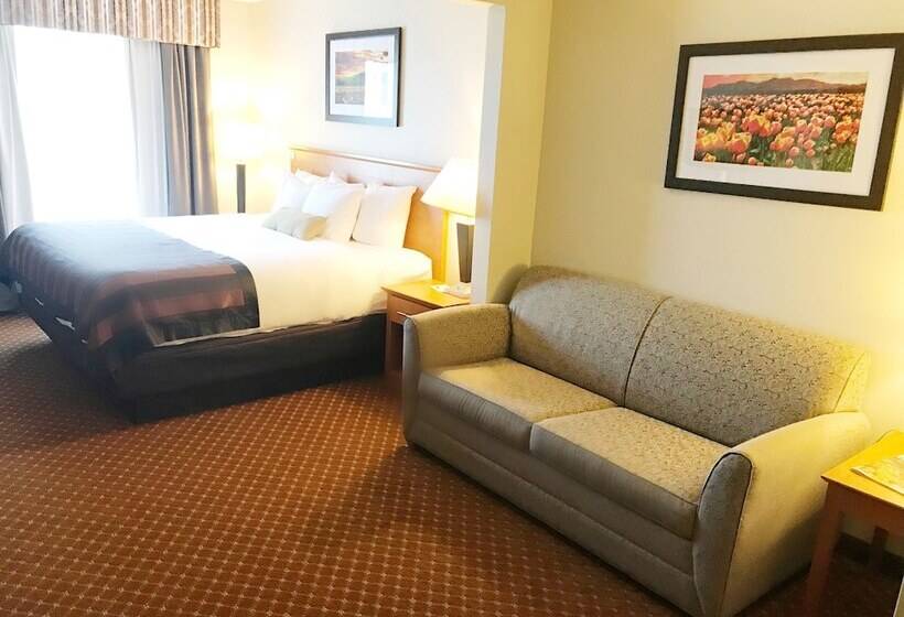 标准间, Wingate By Wyndham Louisville East