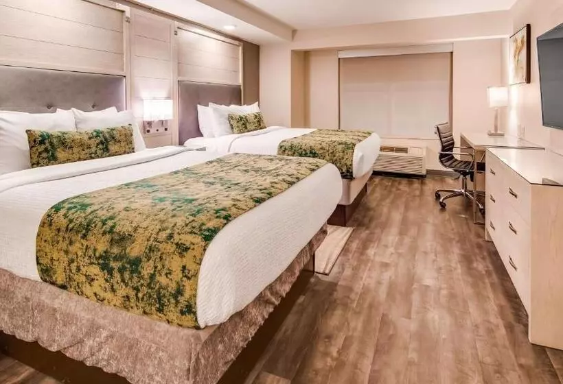 スタンダードルーム, Best Western Premier I95 Savannah Airport/ Pooler West