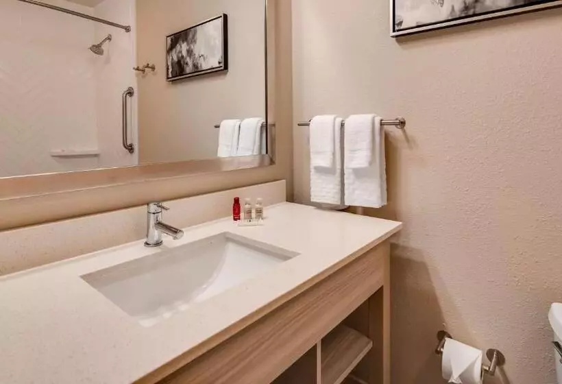 スタンダードルーム, Best Western Premier I95 Savannah Airport/ Pooler West