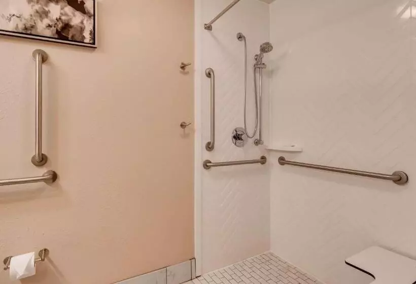 身障者適用キングサイズベッドルーム, Best Western Premier I95 Savannah Airport/ Pooler West