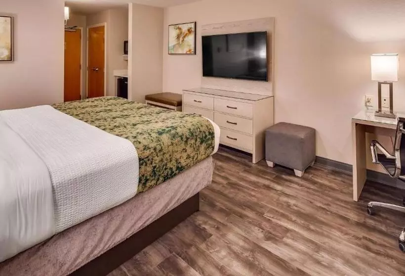 身障者適用キングサイズベッドルーム, Best Western Premier I95 Savannah Airport/ Pooler West