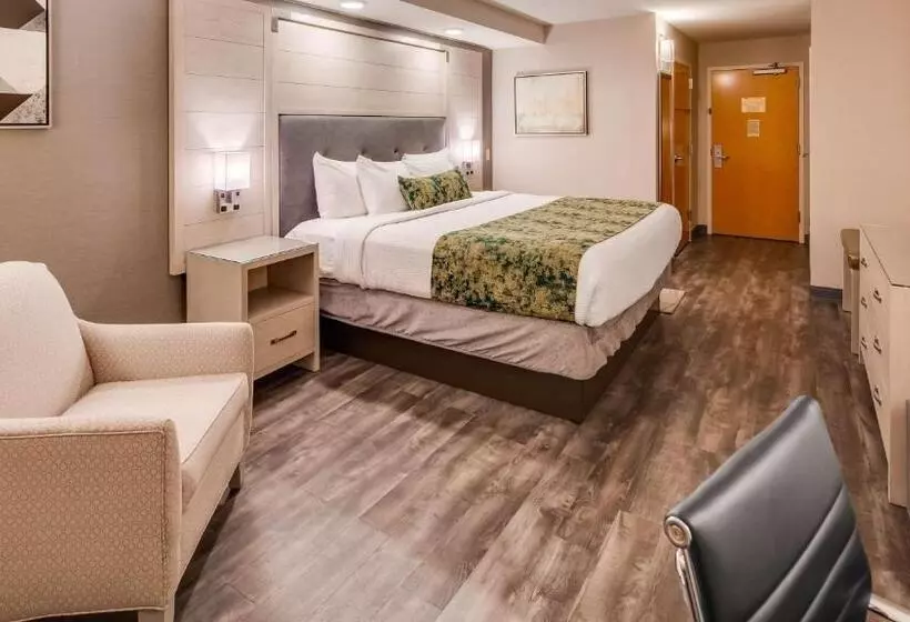 身障者適用キングサイズベッドルーム, Best Western Premier I95 Savannah Airport/ Pooler West