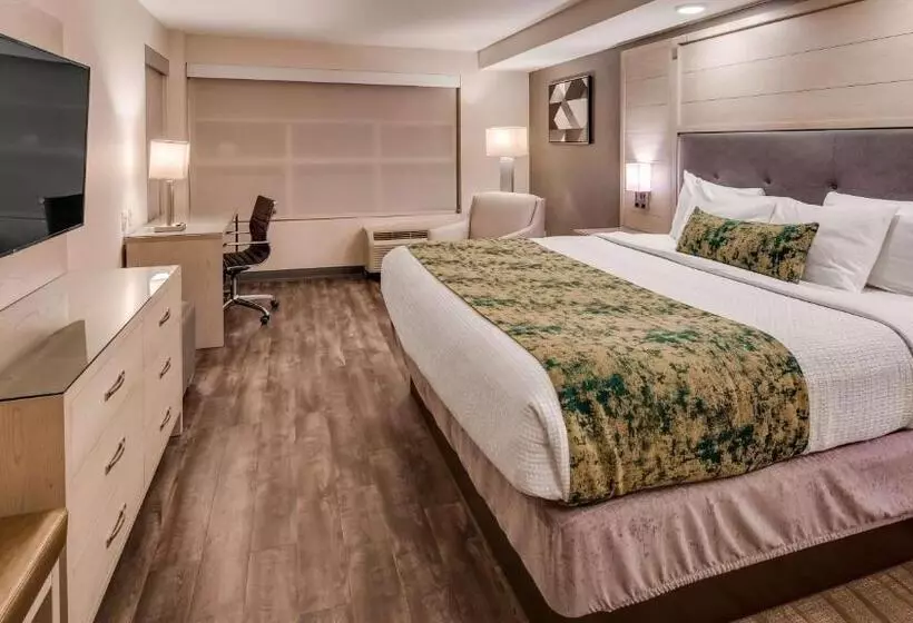 身障者適用キングサイズベッドルーム, Best Western Premier I95 Savannah Airport/ Pooler West