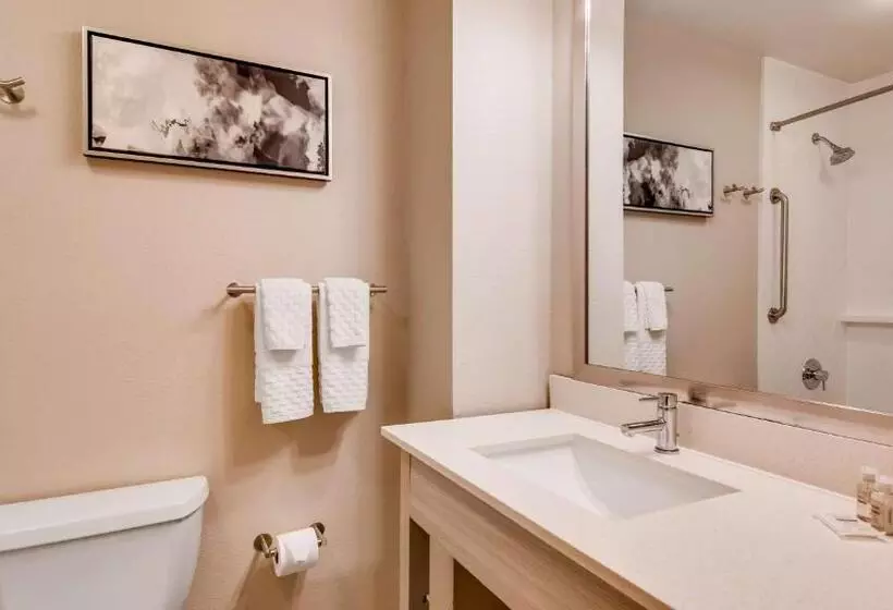 キングサイズベッドのスイートルーム, Best Western Premier I95 Savannah Airport/ Pooler West