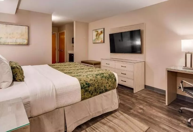 キングサイズベッドのスタンダードルーム, Best Western Premier I95 Savannah Airport/ Pooler West