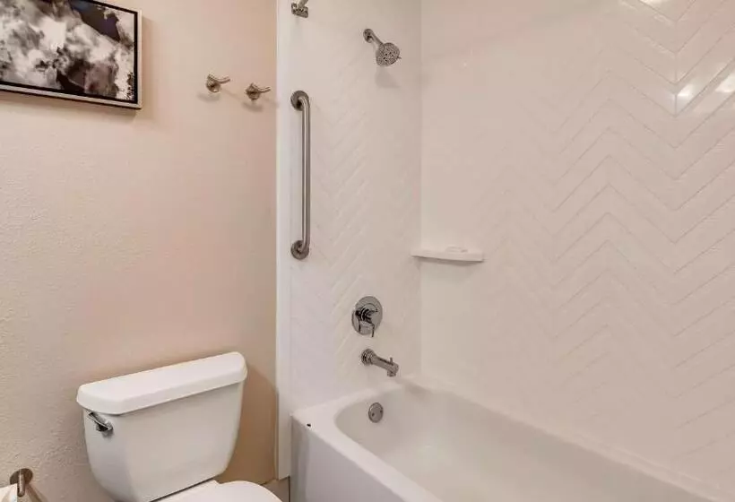 身障者適用スタンダードルーム, Best Western Premier I95 Savannah Airport/ Pooler West
