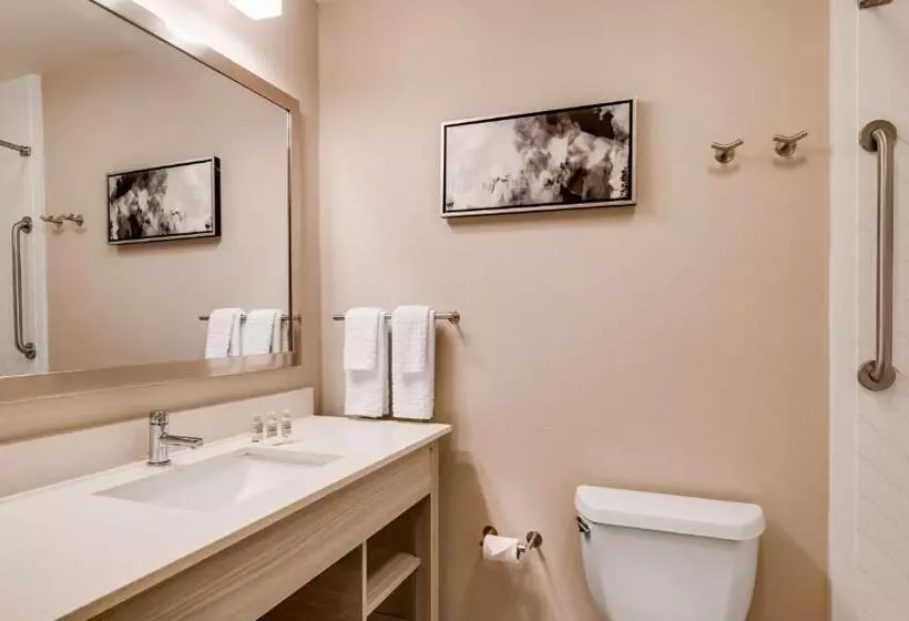 身障者適用スタンダードルーム, Best Western Premier I95 Savannah Airport/ Pooler West