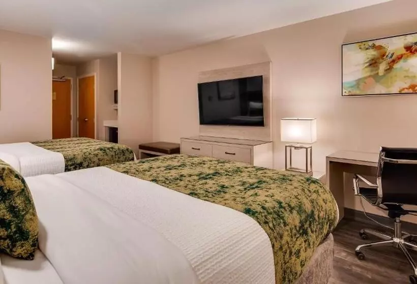 身障者適用スタンダードルーム, Best Western Premier I95 Savannah Airport/ Pooler West