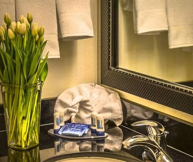 スタンダードスタジオ, Fairfield Inn & Suites Washington Dc